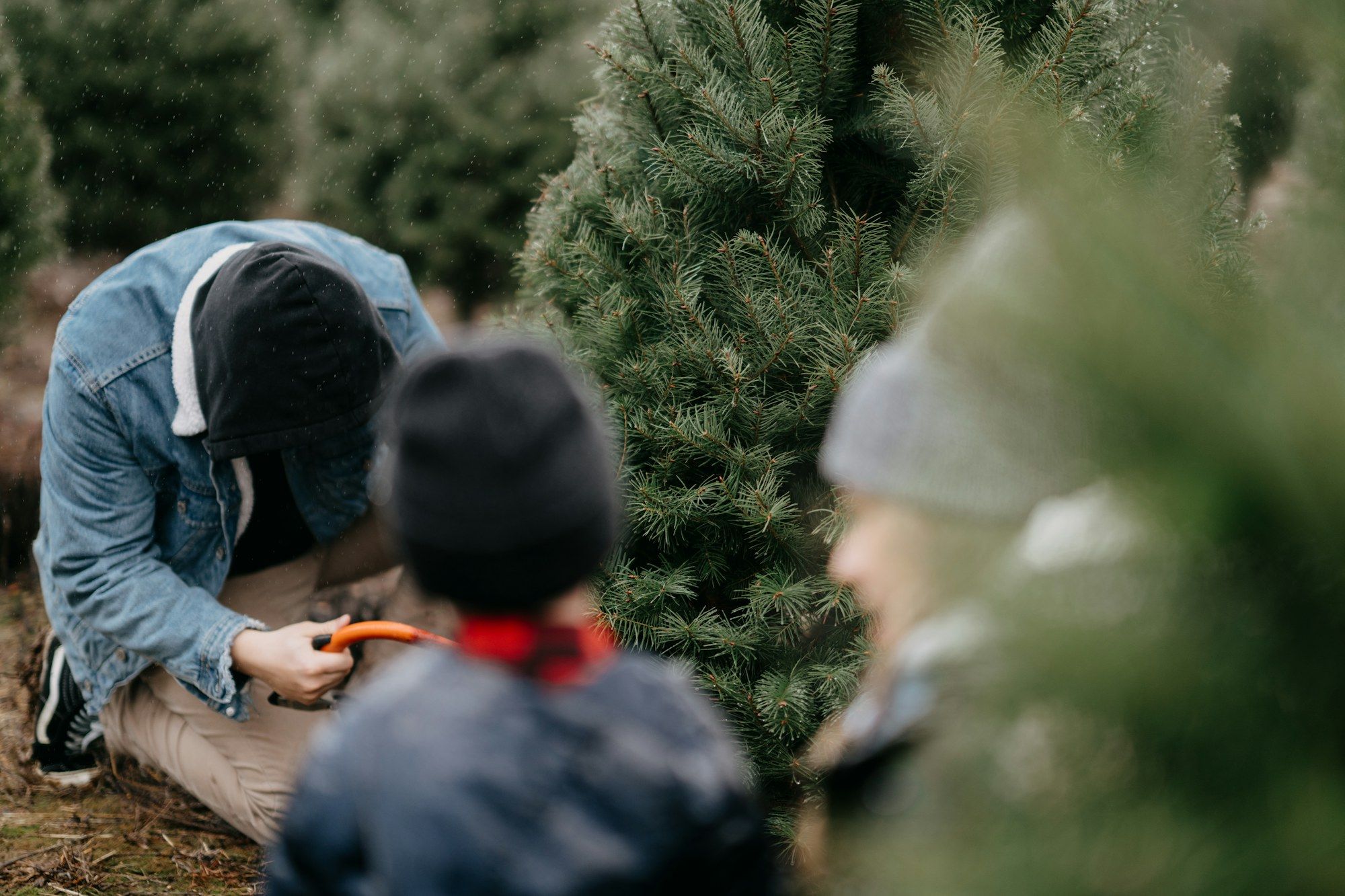 A man and a young boy crouch at the base of a Christmas tree with a hand saw.